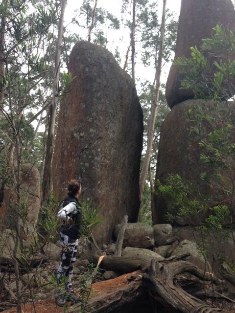 Two Story Bed And Breakfast - Holiday Find 1