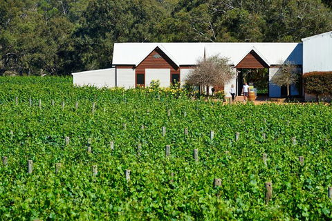 Upper Reach Spa Cottage - Holiday Find 0