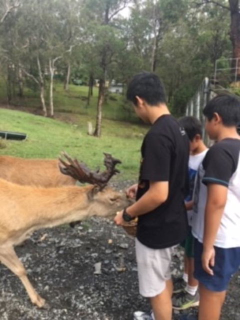 Villa Cervi Property - Holiday Find 3