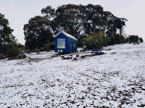 Walden Tiny House - Holiday Find 2