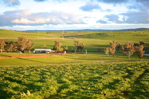 Wantana Cottage Farmstay - Holiday Find 0