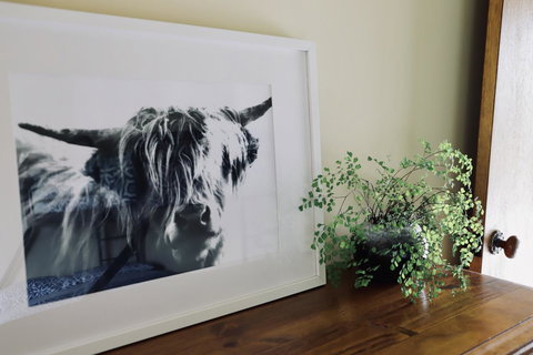 Red Ceder Cottage - Great Ocean Road - Port Campbell - Holiday Find 5