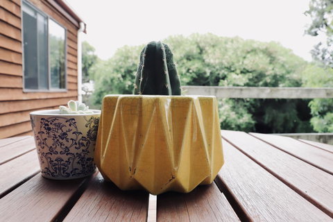 Red Ceder Cottage - Great Ocean Road - Port Campbell - Holiday Find 21