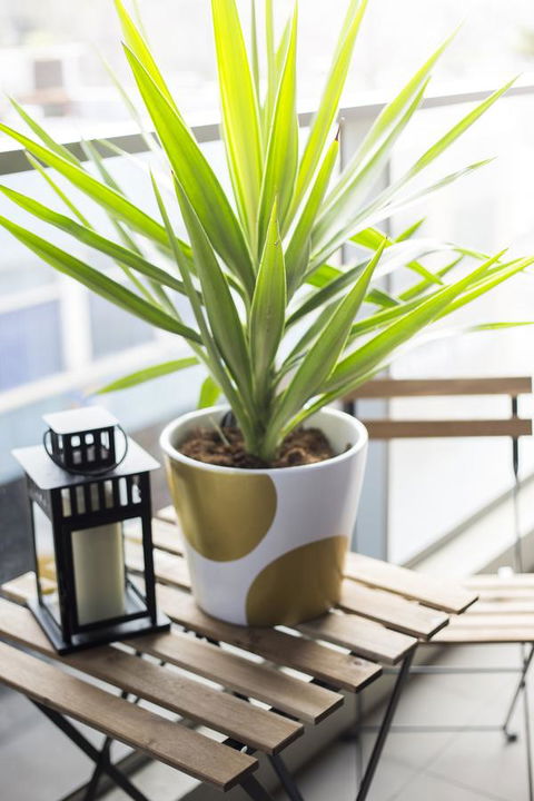 Complete Host 50 Claremont St Apartments - Holiday Find 6