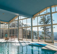 The Dan - Holiday Find