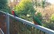 Beautiful View House - thumb 11