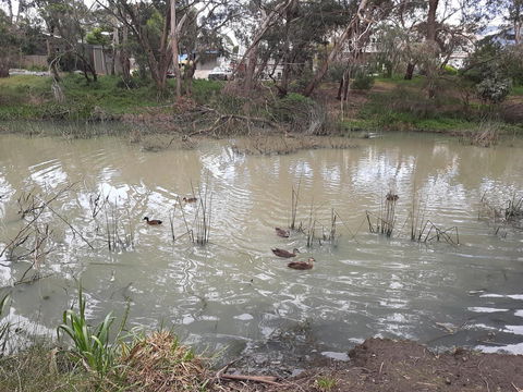 Elevated Holiday House Overlooks Tranquil Wetlands - Holiday Find 12