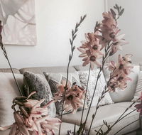 Bed of Roses - Holiday Find