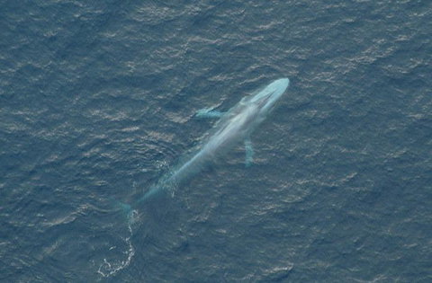 Cape Nelson Lighthouse - Holiday Find 39