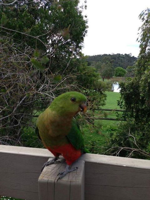 Australian Home Away @ Wonga Park Brushy Creek - Holiday Find 18