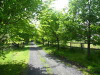 Book Wonga Park Accommodation Vacations Holiday Find Holiday Find