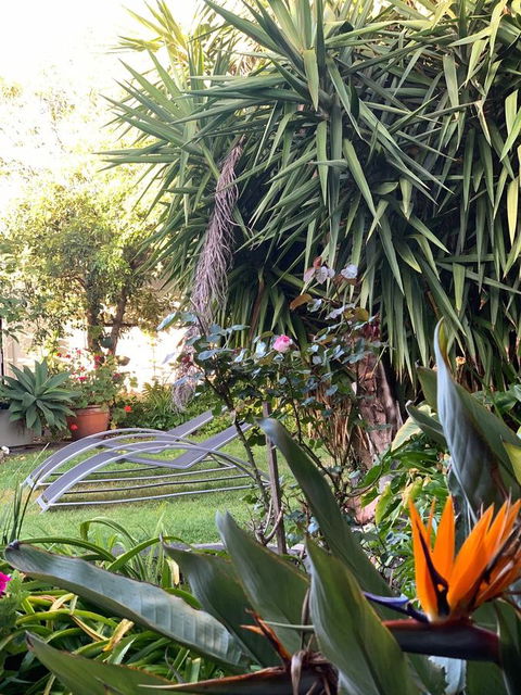 Sunryes Beach House - Holiday Find 32