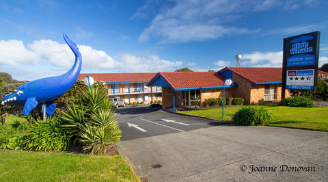 Blue Whale Motor Inn & Apartments - Holiday Find 0