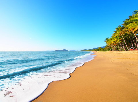Drift Palm Cove - Holiday Find 9