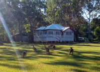 Book Peregian Beach Accommodation Vacations Holiday Find Holiday Find