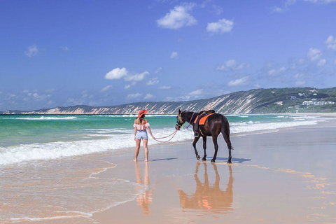 Salty Vibes Retreat - Holiday Find 0