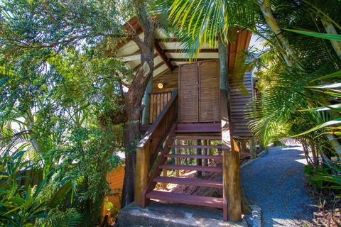 1770 Beach Shacks - Holiday Find 3
