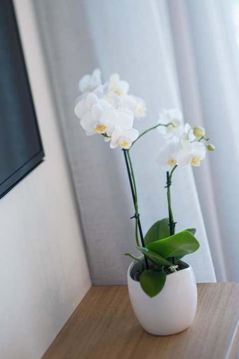 Heart Hotel And Gallery Whitsundays - Holiday Find 28