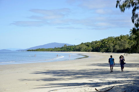 PK\'s Jungle Village - Holiday Find 25