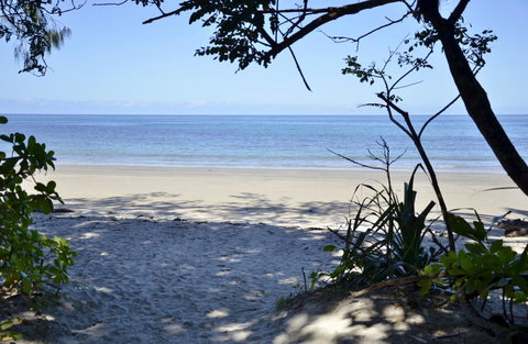 PK\'s Jungle Village - Holiday Find 26