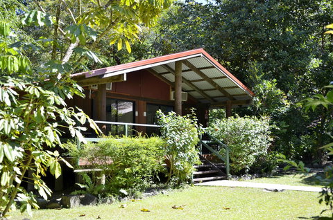 PK\'s Jungle Village - Holiday Find 21