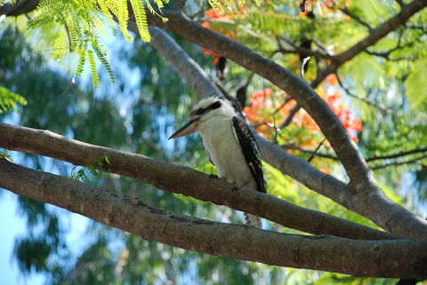 Sanctuary Palm Cove - Holiday Find 7