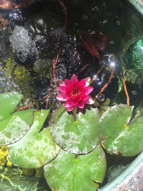 Bed & Breakfast 1 Bedroom Guest House - Holiday Find 42