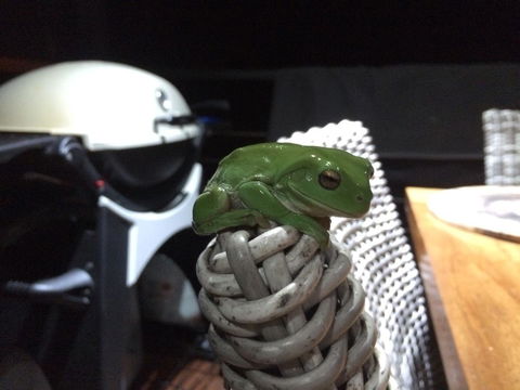 Bed & Breakfast 1 Bedroom Guest House - Holiday Find 43