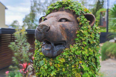 Bed & Breakfast 1 Bedroom Guest House - Holiday Find 44