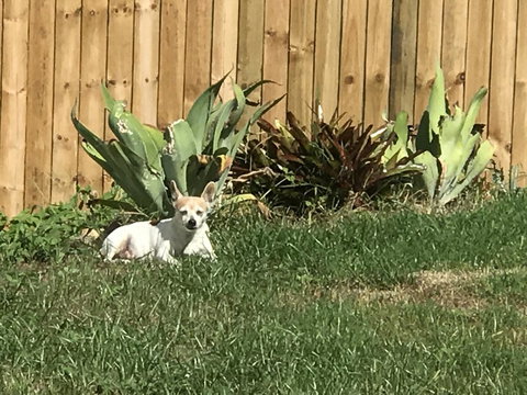 Whitsunday Luxury Homes - Holiday Find 42