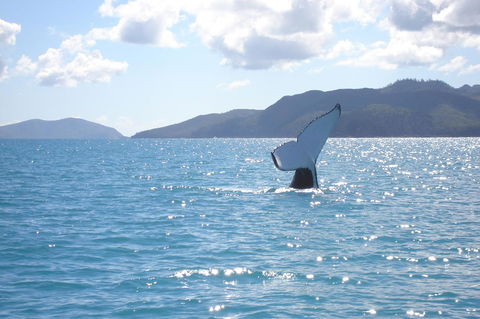 Marina View Apartment - Holiday Find 9