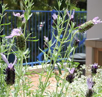 Surfers Beach Resort One - Holiday Find