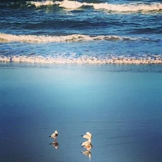Oceania On Burleigh Beach - Holiday Find 40