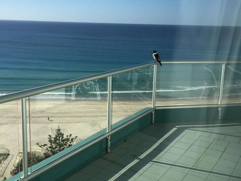 Ocean Plaza Resort - Holiday Find 28