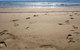 Kirra Surf Apartments - thumb 12