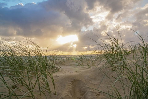 San Marino By The Sea Apartments - Holiday Find 29