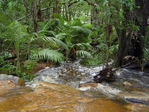 Forest Lodge: Little Villa - Holiday Find 17