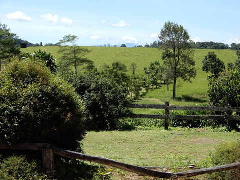 Malanda Manor Guesthouse - Holiday Find 17