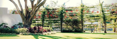 Vine Apartments South Brisbane - Holiday Find 19