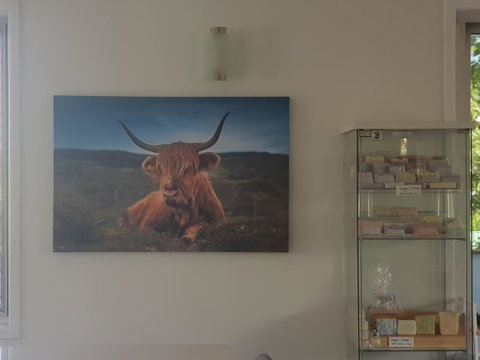 Highland House - Holiday Find 4