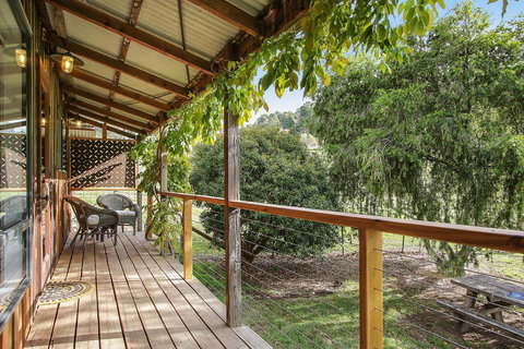 Way Out Wandi - Holiday Find 1