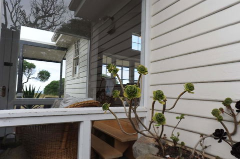 White Shell Cottage - Holiday Find 3