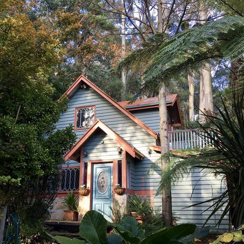 Wild Orchid Olinda - Holiday Find 3