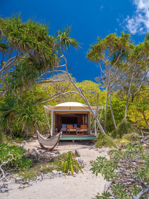 Wilson Island - Holiday Find 3