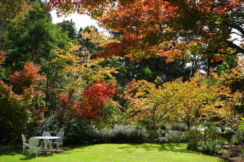 Wimbeldon - Holiday Find 3