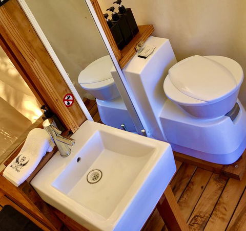 Wingtons Glamping - Holiday Find 2