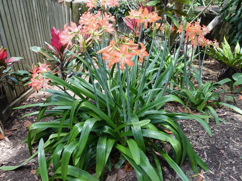 Winston Cottage - Holiday Find 2