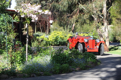 Wintarni Olives Cottage - Holiday Find 1