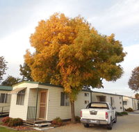 Wodonga Caravan  Cabin Park - Holiday Find