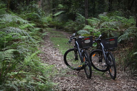 Woodlands Rainforest Retreat - Holiday Find 2
